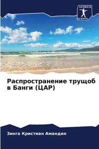 Распространение трущоб в Банги (ЦАР)