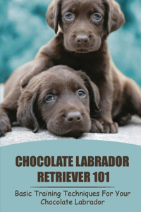 Chocolate Labrador Retriever 101: Basic Training Techniques For Your Chocolate Labrador: Labrador Training