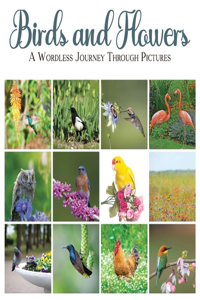 Birds and Flowers: A Wordless Journey Through Pictures