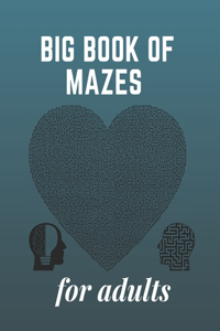 big book of mazes for adults