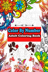 Color By Number Adult Coloring Book