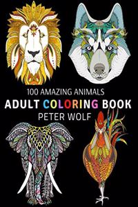 Adult Coloring Book