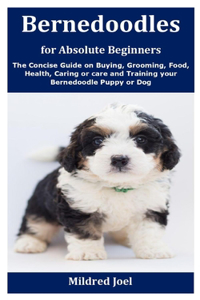 Bernedoodles for Absolute Beginners