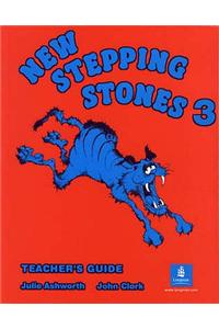 New Stepping Stones Teacher's Book 3 Global