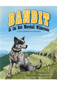 Bandit In The Bob Marshall Wilderness