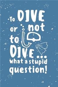 To dive or not to dive...what a stupid question