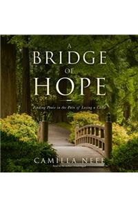 Bridge of Hope Lib/E