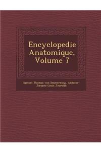 Encyclopedie Anatomique, Volume 7