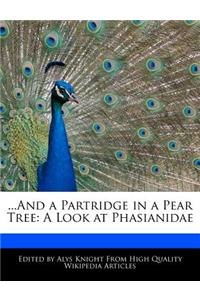...and a Partridge in a Pear Tree