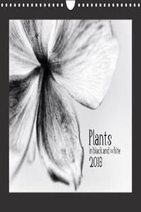 Plants in Black and White / UK-Version 2018