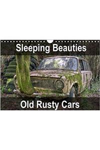 Sleeping Beauties Old Rusty Cars 2018