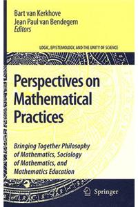 Perspectives on Mathematical Practices