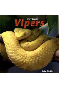 Vipers