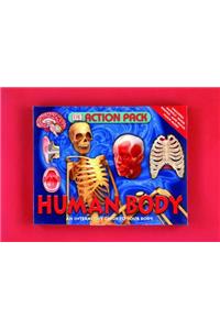 Human Body (Action Packs)