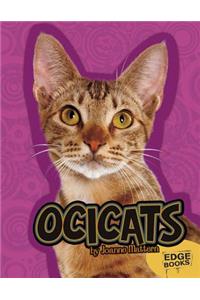 Ocicats