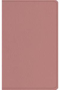 ESV Baby New Testament with Psalms and Proverbs