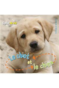 Cycle de Vie: Le Chiot Et Le Chien