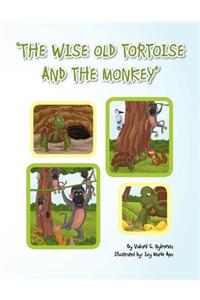 Wise Old Tortoise and the Monkey