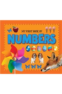 My First Book of Numbers