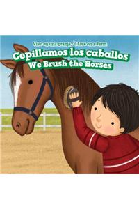 Cepillamos Los Caballos / We Brush the Horses