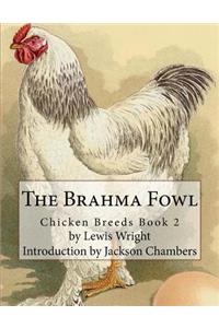 The Brahma Fowl