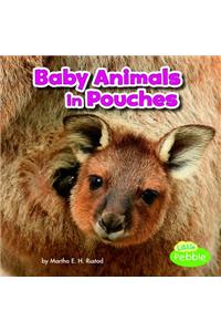 Baby Animals and Their Homes Baby Animals in Pouches