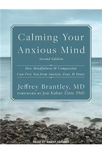 Calming Your Anxious Mind