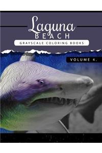 Laguna Beach Volume 4