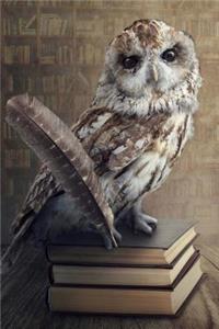 Wise Old Owl Perched on Books Illustration Journal