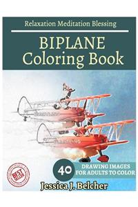 BIPLANE Coloring book for Adults Relaxation Meditation Blessing