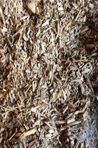 Journal Nature Ground Balsam