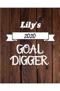 Lily's 2020 Goal Digger