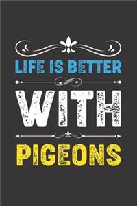 Life Is Better With Pigeons