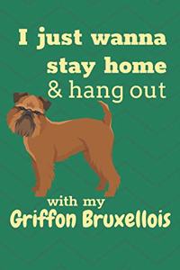 I just wanna stay home & hang out with my Griffon Bruxellois