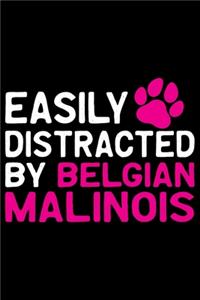 Easily Distracted by Belgian Malinois