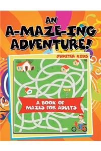 An A-Maze-ing Adventure! (A Book of Mazes for Adults)