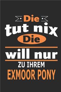 Die tut nix Die will nur zu ihrem Exmoor Pony