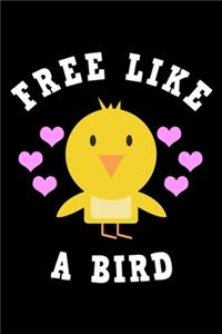 Free Like A Bird