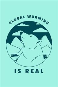 Global Warming Is Real