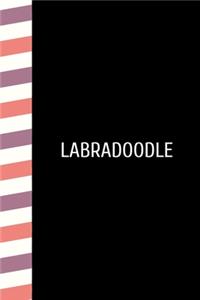 Labradoodle
