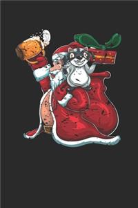 Racoon And Santa Claus