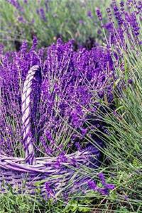 Lavender Notebook