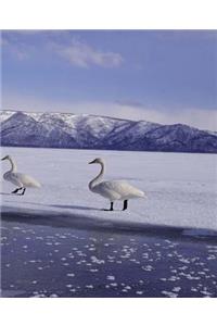 Winter Theme School Composition Book Frozen Geese 130 Pages
