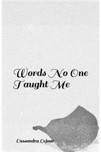 Words No One Taught Me