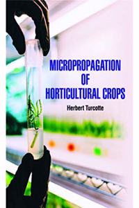MICROPROPAGATION OF HORTICULTURAL CROPS