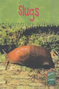 Read and Learn: Ooey-Gooey Animals - Slugs