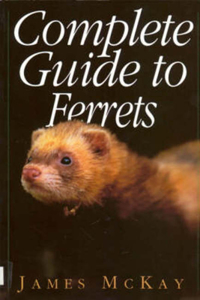 Complete Guide to Ferrets