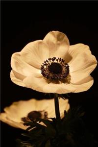Romanic Anemone Flowers in Sepia Journal
