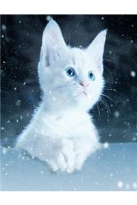 Cute White Kitten Notebook