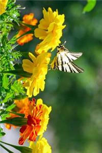 Butterfly and Magnolia Flowers Journal